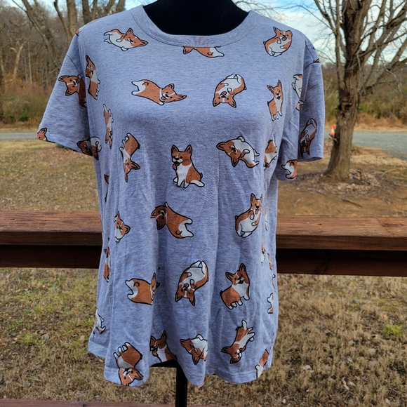 light for turtle basking